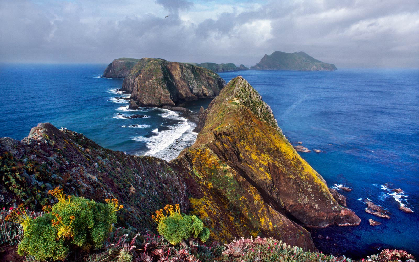 Channel Islands National Park 