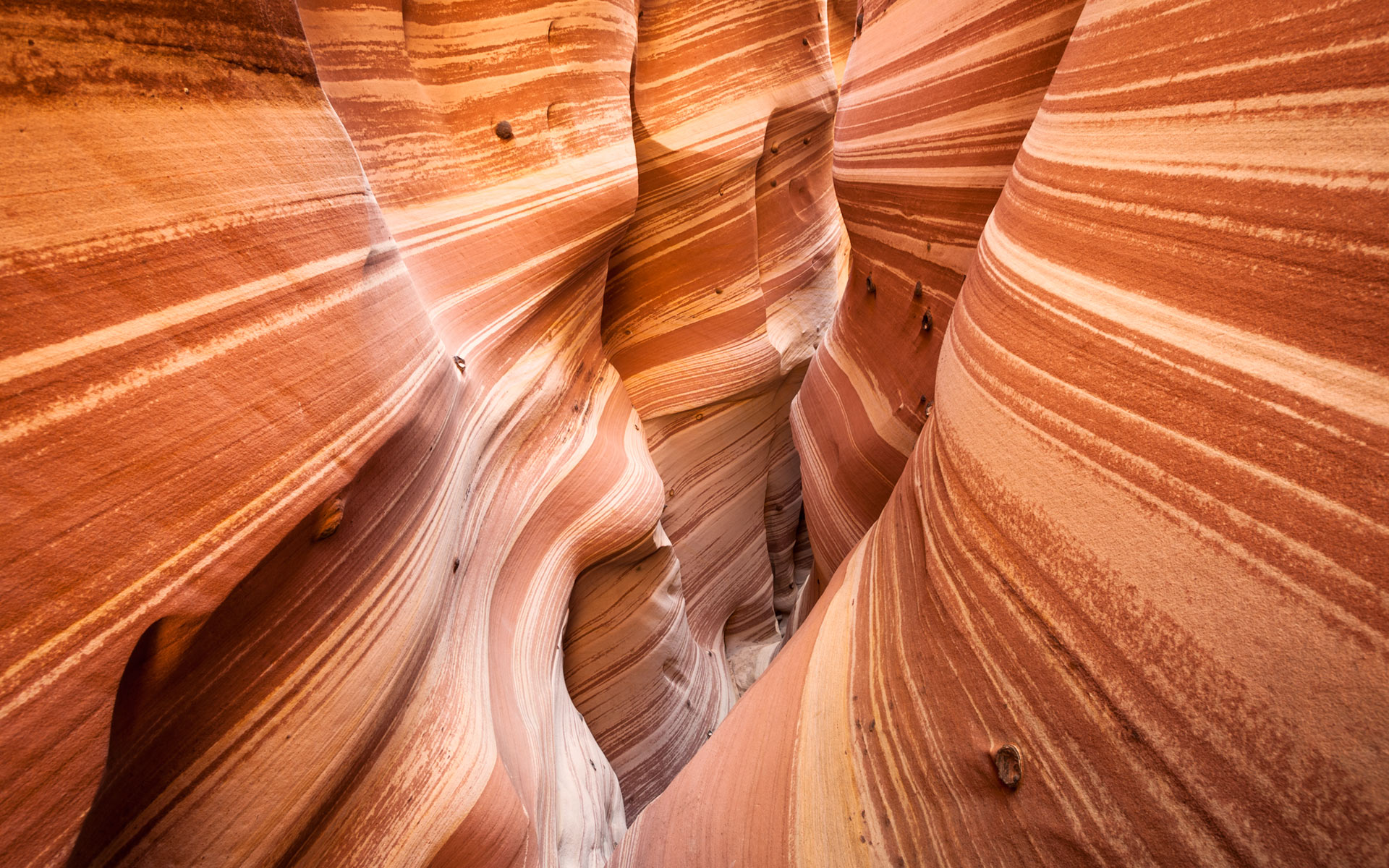 Multicolor slot canyon 