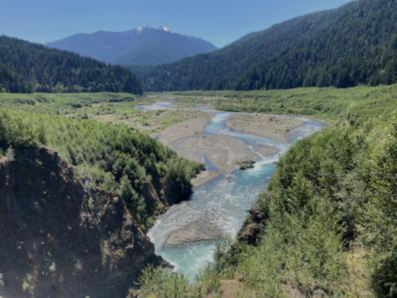 the bridge to nature - Olympic Peninsula