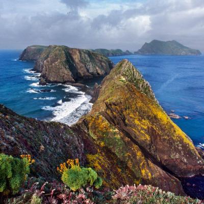 Channel Islands National Park 