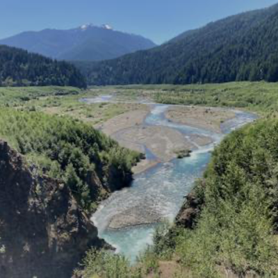 the bridge to nature - Olympic Peninsula