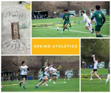 Spring sports